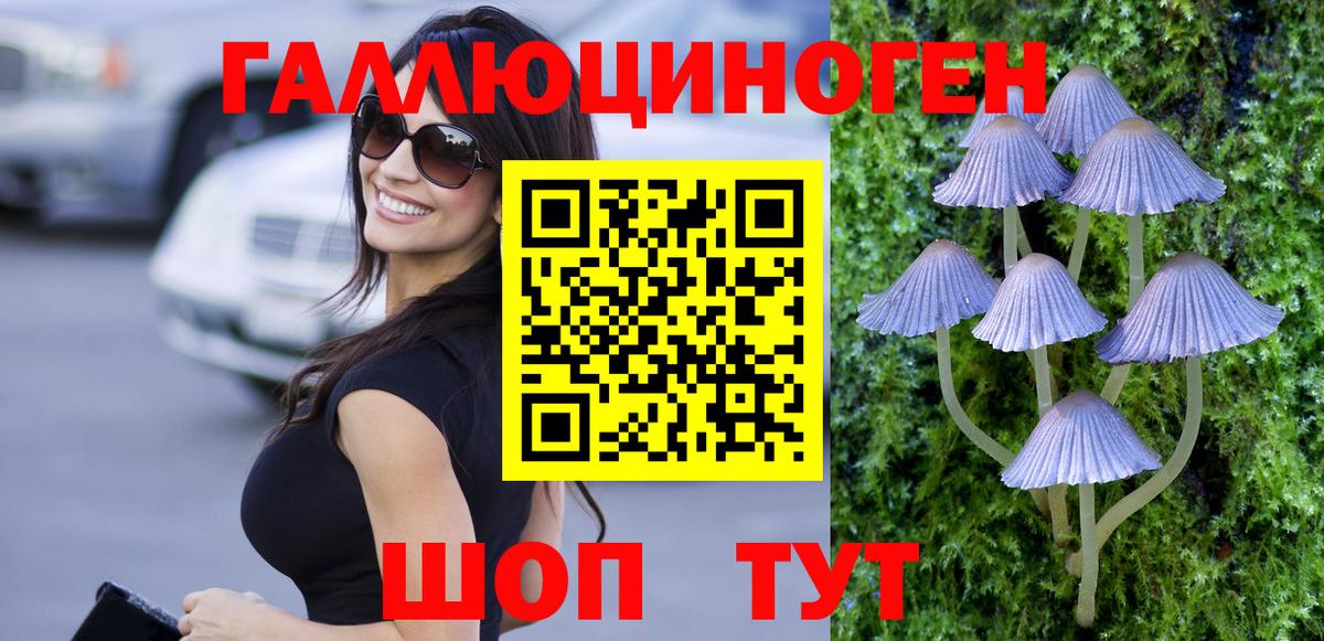 где купить наркоту  Вход с VPN  Череповец  Галлюциногенные грибы Magic Shrooms 
